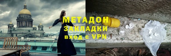прущие грибы Алзамай